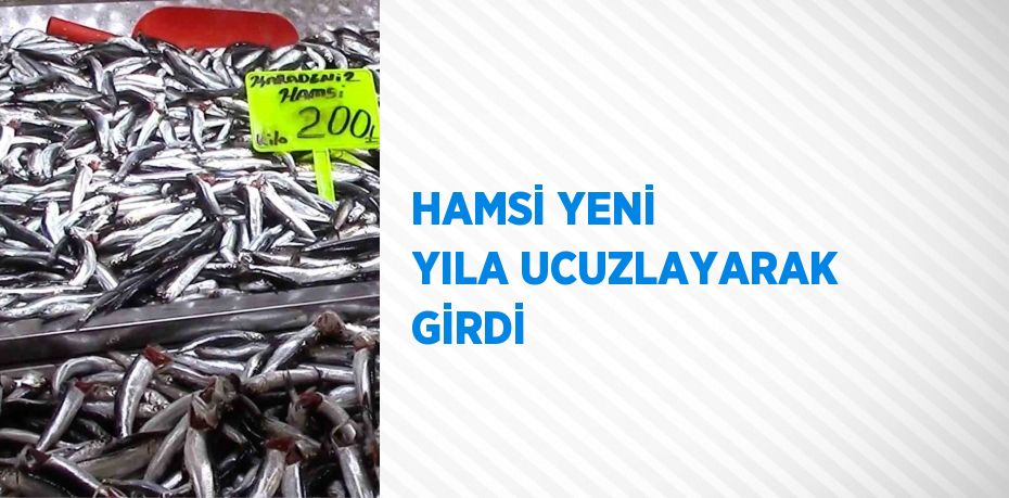 HAMSİ YENİ YILA UCUZLAYARAK GİRDİ