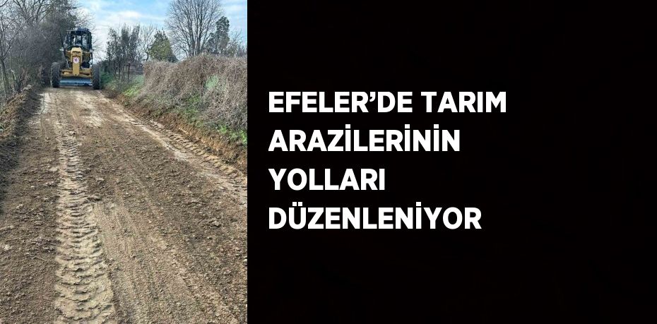 EFELER’DE TARIM ARAZİLERİNİN YOLLARI DÜZENLENİYOR