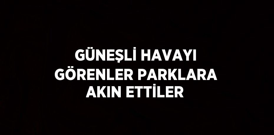 GÜNEŞLİ HAVAYI GÖRENLER PARKLARA AKIN ETTİLER