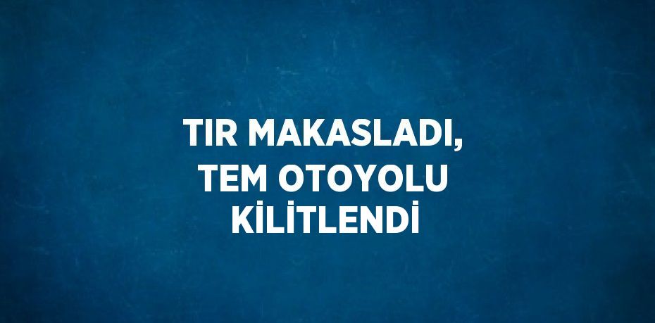 TIR MAKASLADI, TEM OTOYOLU KİLİTLENDİ