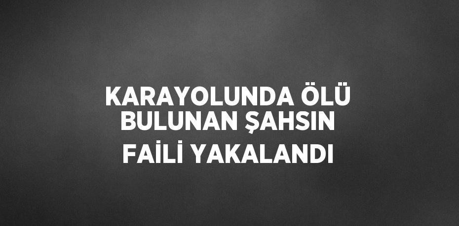 KARAYOLUNDA ÖLÜ BULUNAN ŞAHSIN FAİLİ YAKALANDI