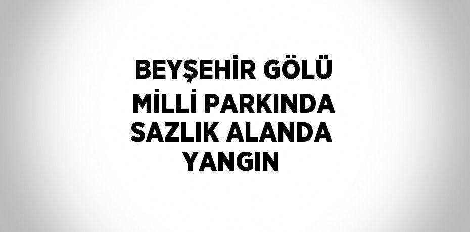 BEYŞEHİR GÖLÜ MİLLİ PARKINDA SAZLIK ALANDA YANGIN