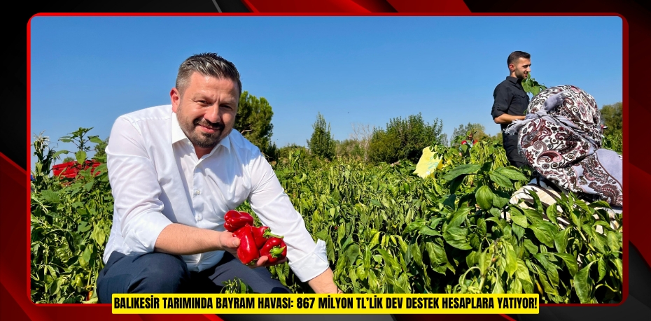 BALIKESİR TARIMINDA BAYRAM HAVASI: 867 MİLYON TL’LİK DEV DESTEK HESAPLARA YATIYOR!