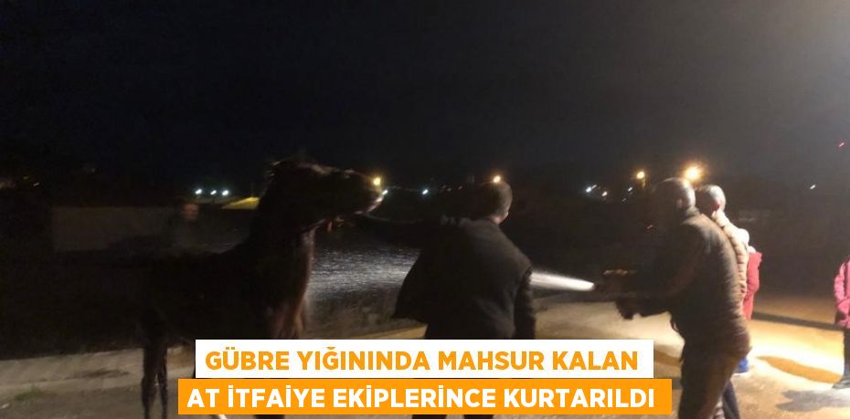 GÜBRE YIĞININDA MAHSUR KALAN AT İTFAİYE EKİPLERİNCE KURTARILDI