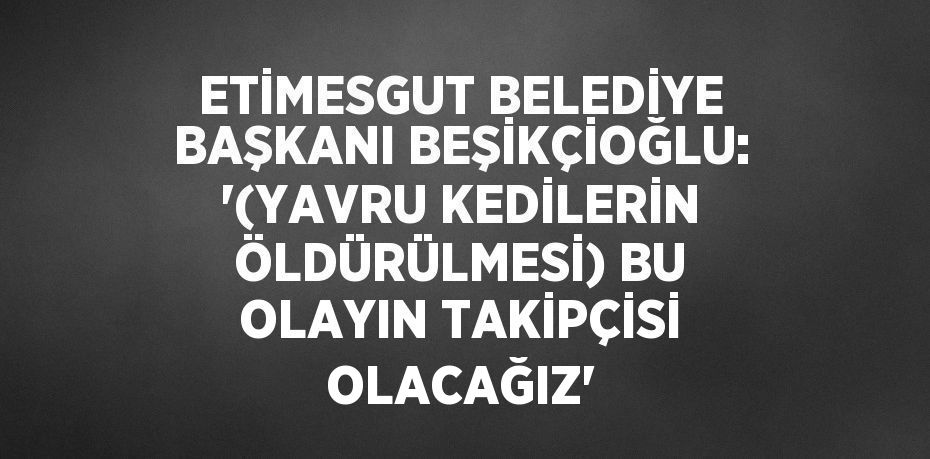 ETİMESGUT BELEDİYE BAŞKANI BEŞİKÇİOĞLU: '(YAVRU KEDİLERİN ÖLDÜRÜLMESİ) BU OLAYIN TAKİPÇİSİ OLACAĞIZ'