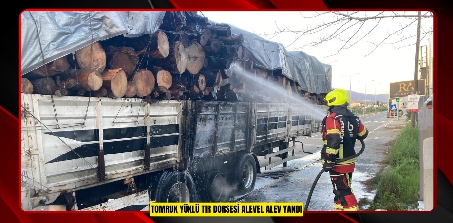 Tomruk yüklü TIR dorsesi alevel alev yandı