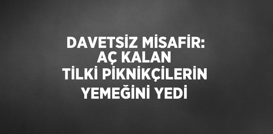 DAVETSİZ MİSAFİR: AÇ KALAN TİLKİ PİKNİKÇİLERİN YEMEĞİNİ YEDİ