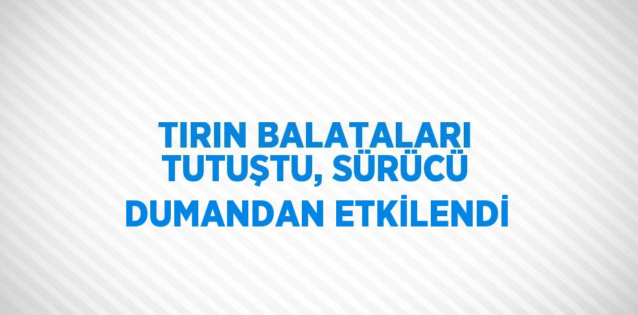 TIRIN BALATALARI TUTUŞTU, SÜRÜCÜ DUMANDAN ETKİLENDİ