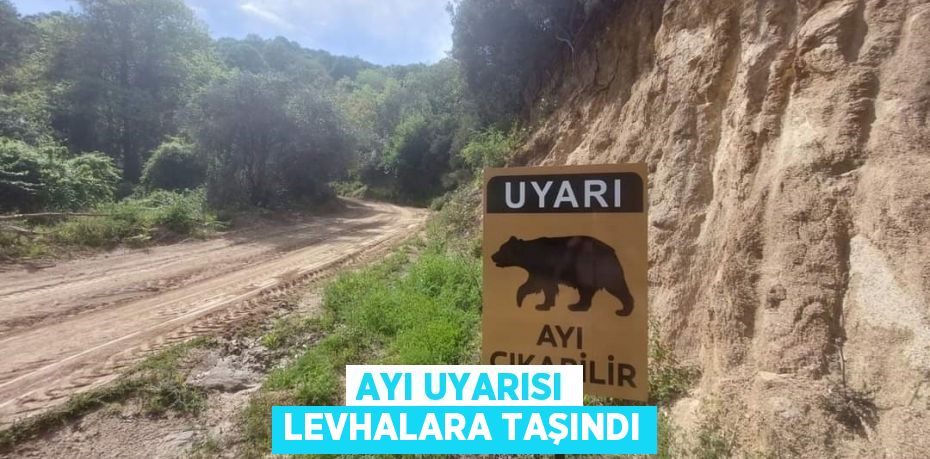 Ayı uyarısı levhalara taşındı