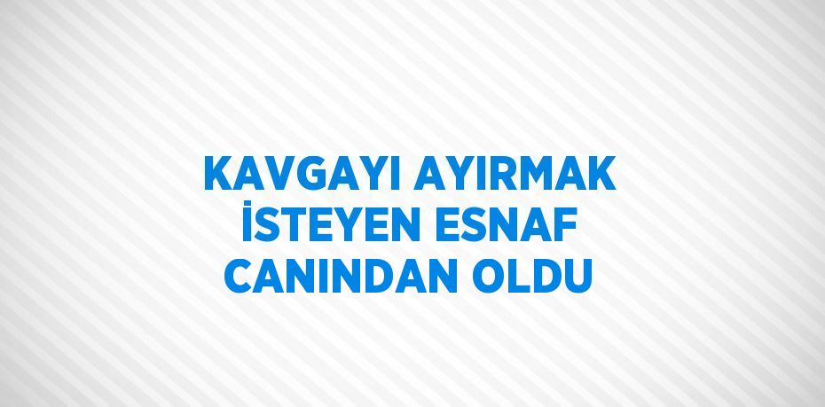 KAVGAYI AYIRMAK İSTEYEN ESNAF CANINDAN OLDU