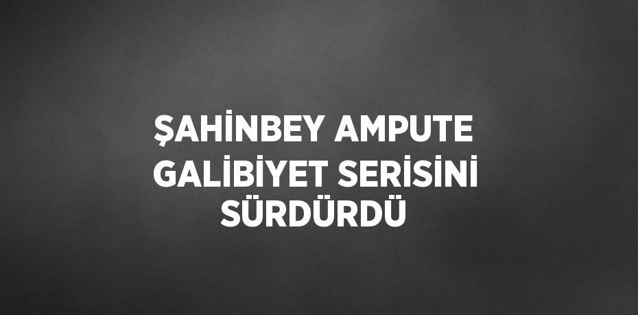 ŞAHİNBEY AMPUTE GALİBİYET SERİSİNİ SÜRDÜRDÜ