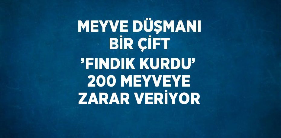 MEYVE DÜŞMANI BİR ÇİFT ’FINDIK KURDU’ 200 MEYVEYE ZARAR VERİYOR