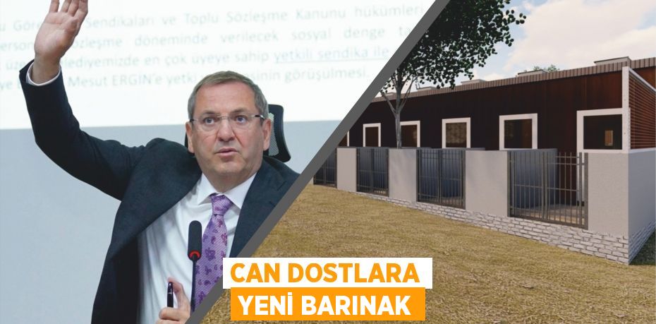 CAN DOSTLARA YENİ BARINAK