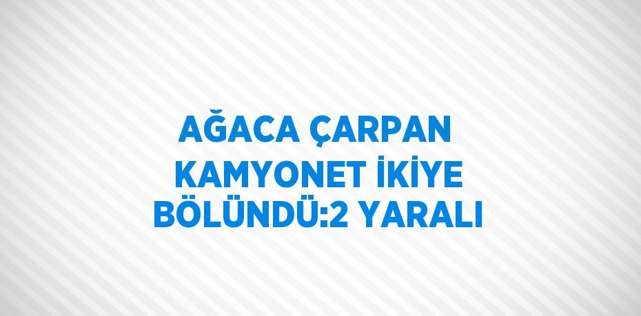 AĞACA ÇARPAN KAMYONET İKİYE BÖLÜNDÜ:2 YARALI