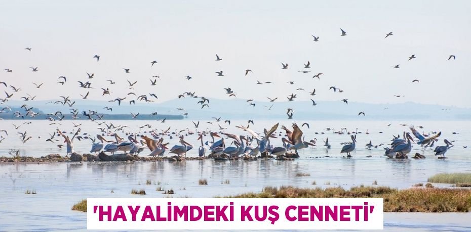 “Hayalimdeki Kuş Cenneti”