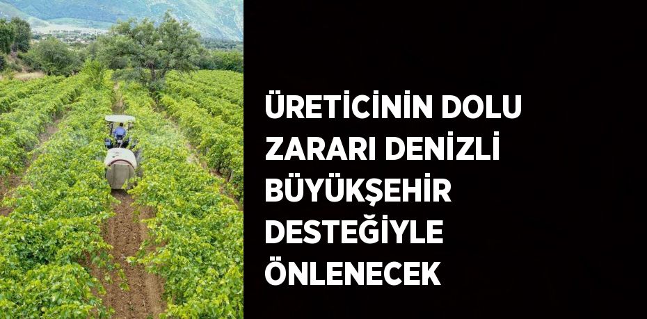 ÜRETİCİNİN DOLU ZARARI DENİZLİ BÜYÜKŞEHİR DESTEĞİYLE ÖNLENECEK