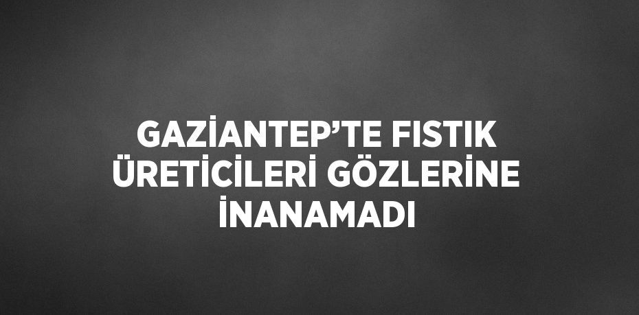 GAZİANTEP’TE FISTIK ÜRETİCİLERİ GÖZLERİNE İNANAMADI