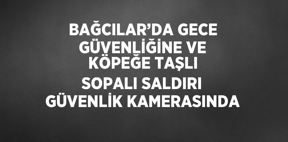 BAĞCILAR’DA GECE GÜVENLİĞİNE VE KÖPEĞE TAŞLI SOPALI SALDIRI GÜVENLİK KAMERASINDA