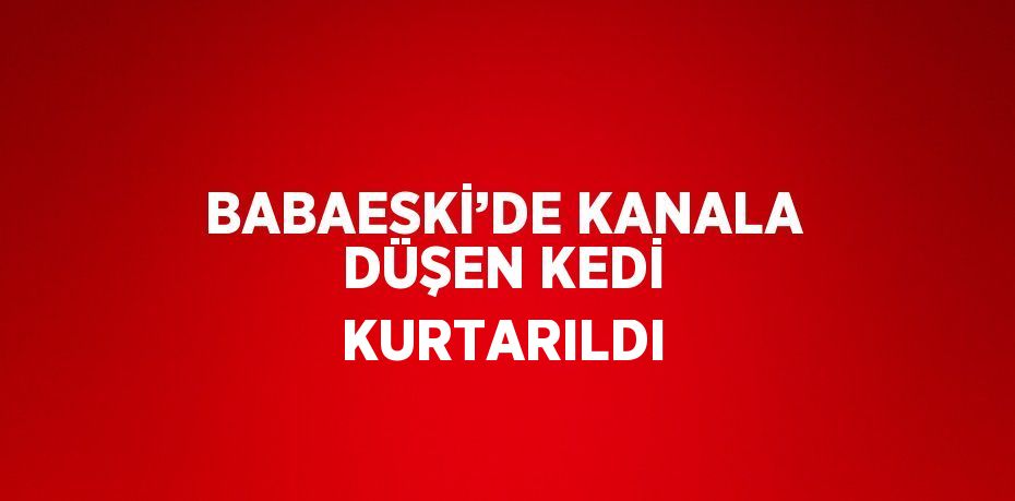 BABAESKİ’DE KANALA DÜŞEN KEDİ KURTARILDI