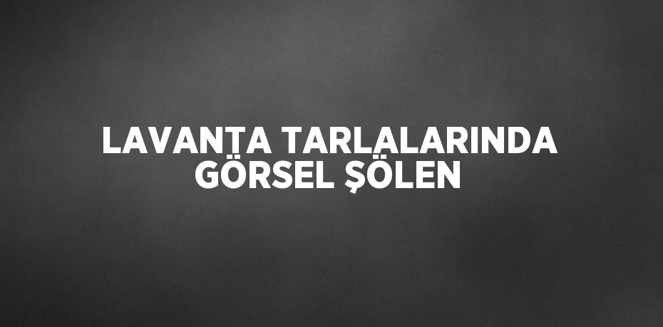 LAVANTA TARLALARINDA GÖRSEL ŞÖLEN