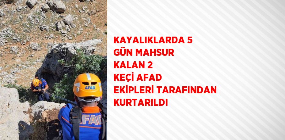 KAYALIKLARDA 5 GÜN MAHSUR KALAN 2 KEÇİ AFAD EKİPLERİ TARAFINDAN KURTARILDI