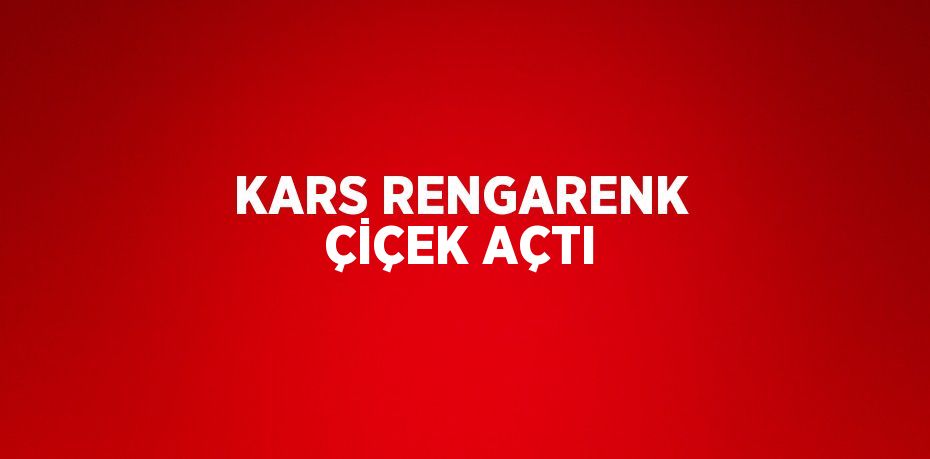 KARS RENGARENK ÇİÇEK AÇTI
