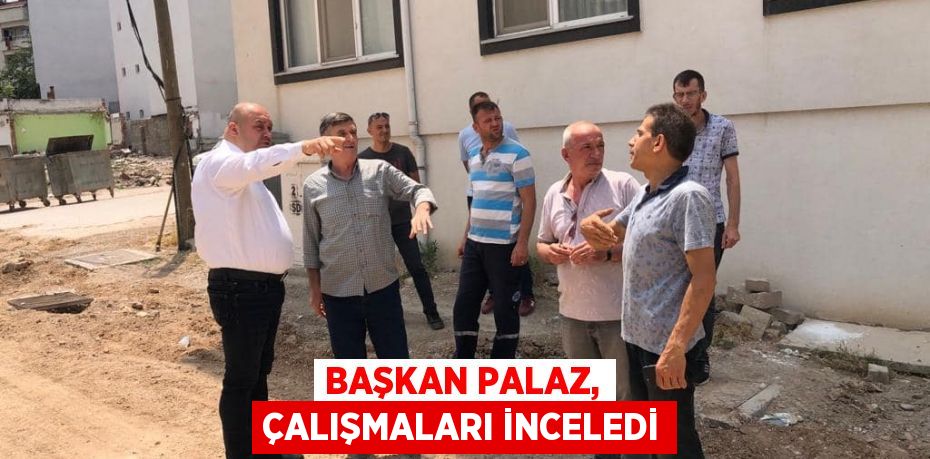 Başkan Palaz, çalışmaları inceledi