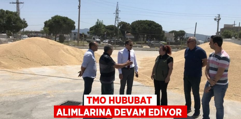 TMO hububat alımlarına devam ediyor