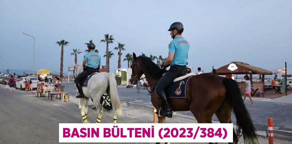 Basın Bülteni (2023/384)