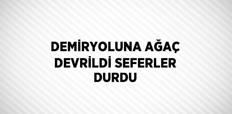 DEMİRYOLUNA AĞAÇ DEVRİLDİ SEFERLER DURDU