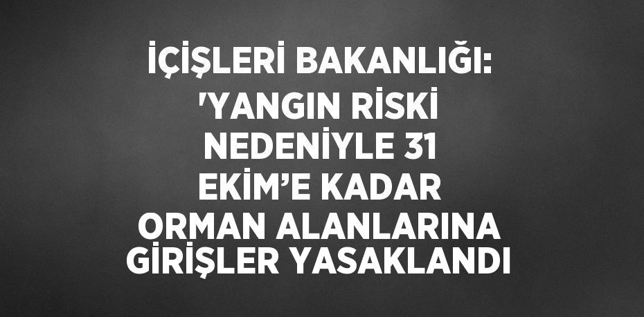 İÇİŞLERİ BAKANLIĞI: 'YANGIN RİSKİ NEDENİYLE 31 EKİM’E KADAR ORMAN ALANLARINA GİRİŞLER YASAKLANDI