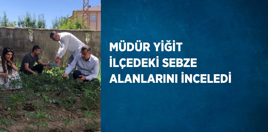 MÜDÜR YİĞİT İLÇEDEKİ SEBZE ALANLARINI İNCELEDİ