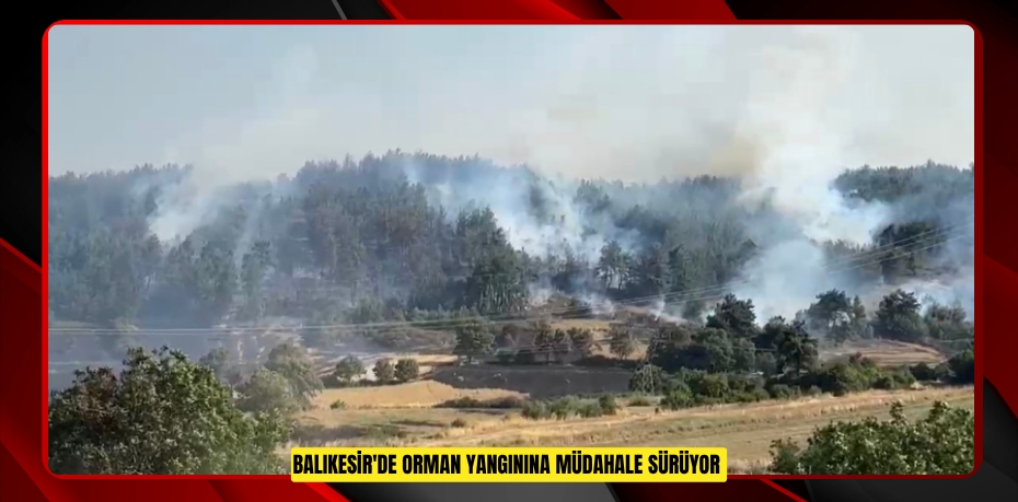 Balıkesir'de orman yangınına müdahale sürüyor  