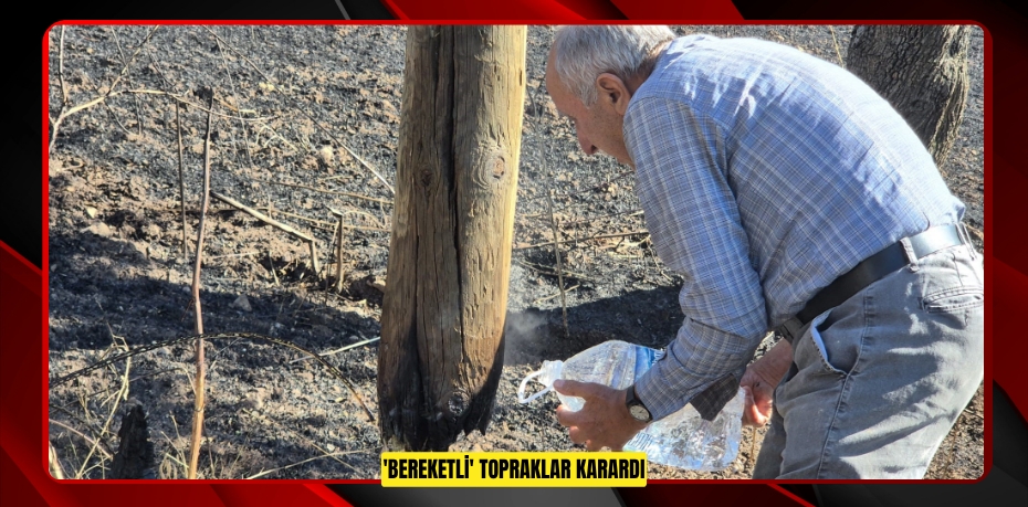 'Bereketli' topraklar karardı
