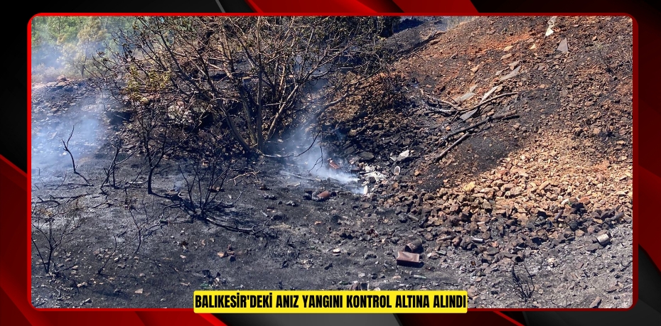 Balıkesir'deki anız yangını kontrol altına alındı  