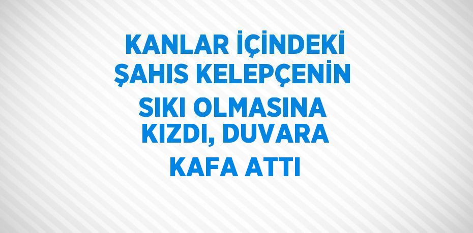 KANLAR İÇİNDEKİ ŞAHIS KELEPÇENİN SIKI OLMASINA KIZDI, DUVARA KAFA ATTI