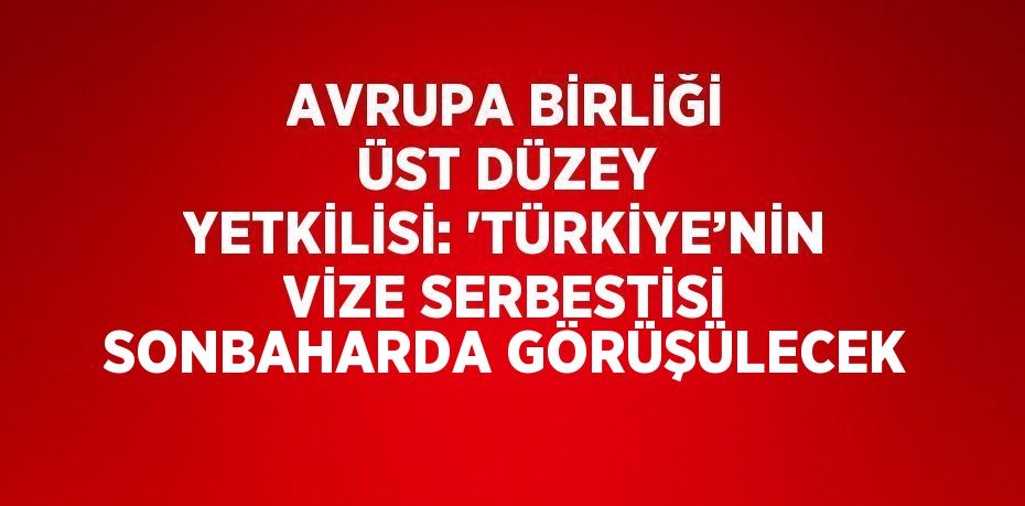 AVRUPA BİRLİĞİ ÜST DÜZEY YETKİLİSİ: 'TÜRKİYE’NİN VİZE SERBESTİSİ SONBAHARDA GÖRÜŞÜLECEK