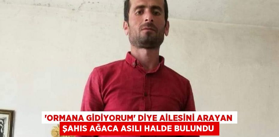 'ORMANA GİDİYORUM' DİYE AİLESİNİ ARAYAN ŞAHIS AĞACA ASILI HALDE BULUNDU