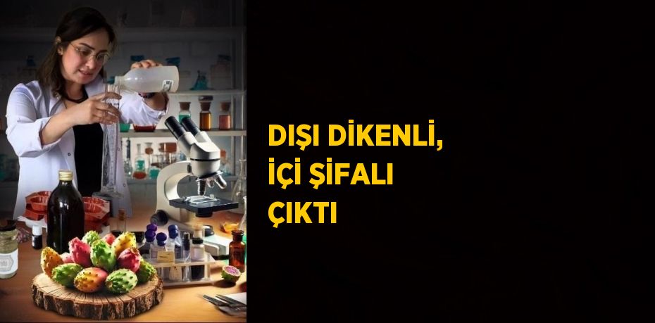 DIŞI DİKENLİ, İÇİ ŞİFALI ÇIKTI