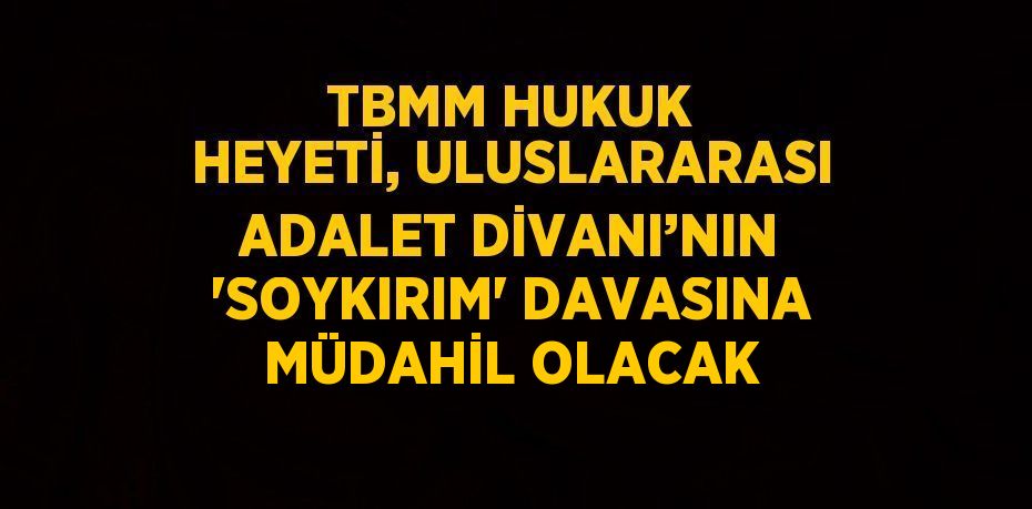 TBMM HUKUK HEYETİ, ULUSLARARASI ADALET DİVANI’NIN 'SOYKIRIM' DAVASINA MÜDAHİL OLACAK