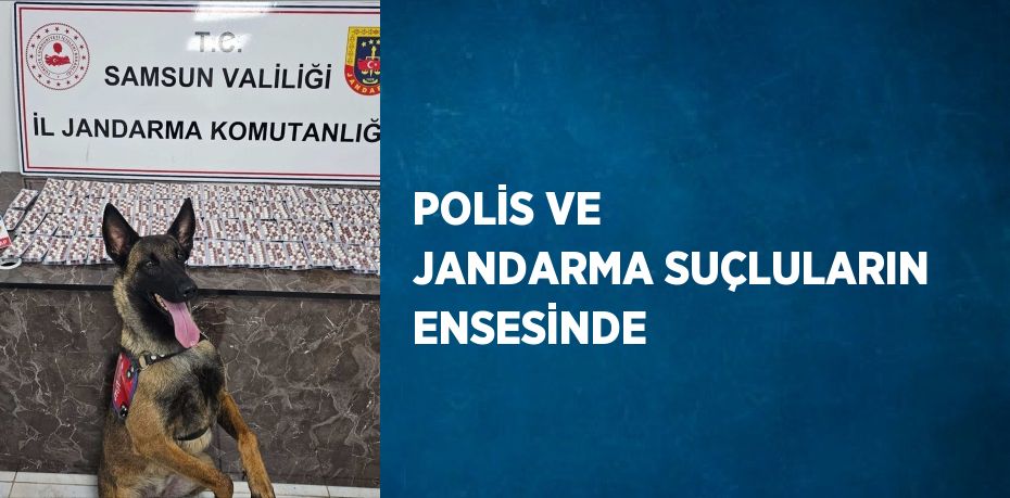 POLİS VE JANDARMA SUÇLULARIN ENSESİNDE