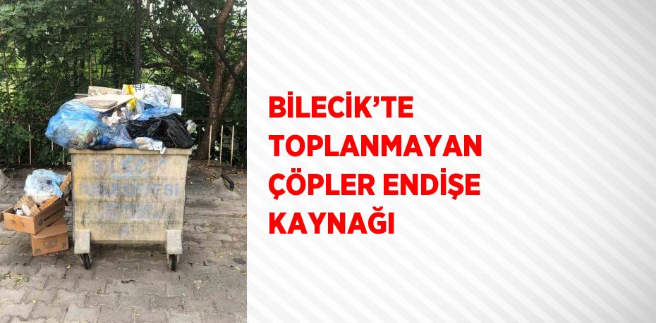 BİLECİK’TE TOPLANMAYAN ÇÖPLER ENDİŞE KAYNAĞI