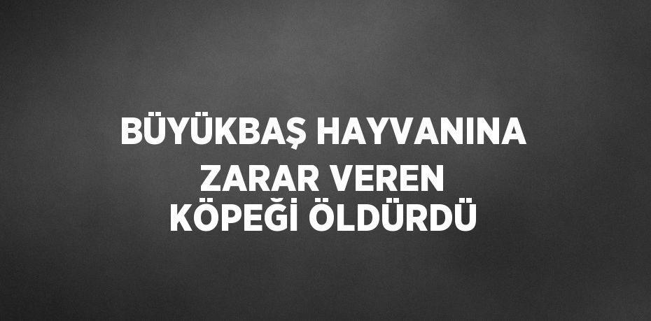 BÜYÜKBAŞ HAYVANINA ZARAR VEREN KÖPEĞİ ÖLDÜRDÜ