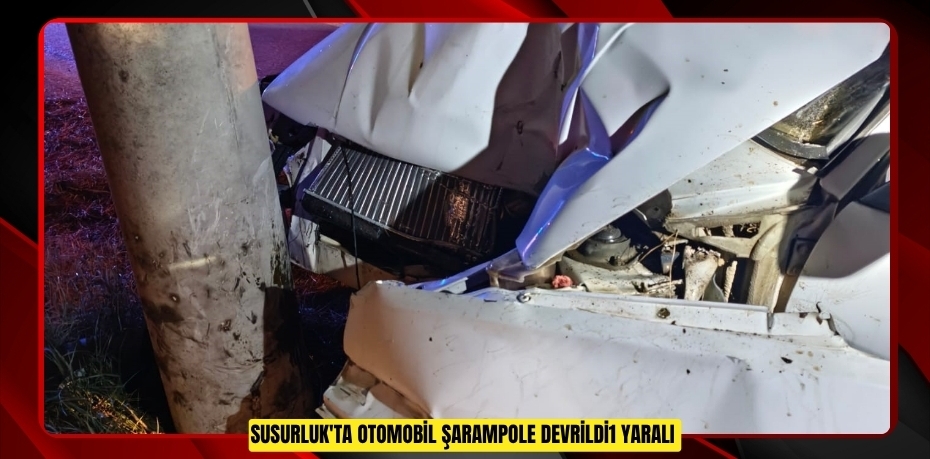 Susurluk'ta otomobil şarampole devrildi:1 yaralı  