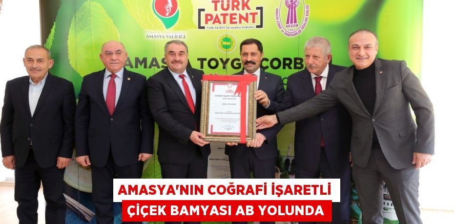 Amasya'nın coğrafi işaretli çiçek bamyası AB yolunda