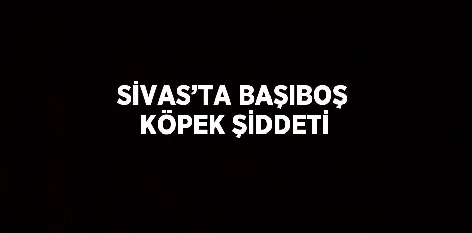 SİVAS’TA BAŞIBOŞ KÖPEK ŞİDDETİ