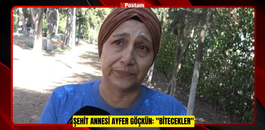 Şehit annesi Ayfer Göçkün: &quot;Bitecekler&quot;