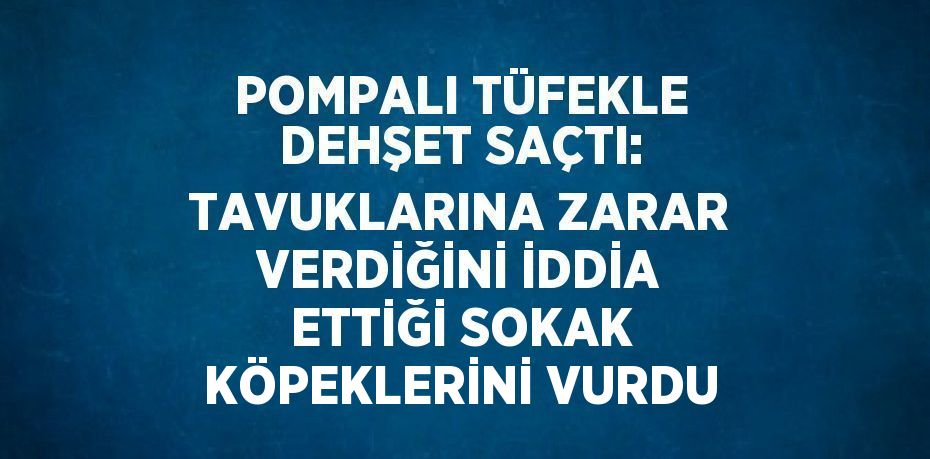 POMPALI TÜFEKLE DEHŞET SAÇTI: TAVUKLARINA ZARAR VERDİĞİNİ İDDİA ETTİĞİ SOKAK KÖPEKLERİNİ VURDU