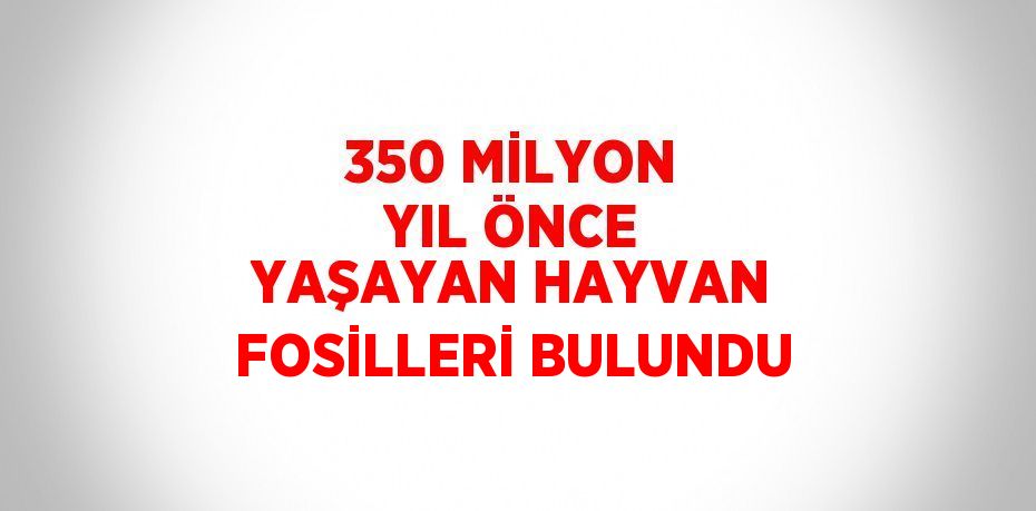 350 MİLYON YIL ÖNCE YAŞAYAN HAYVAN FOSİLLERİ BULUNDU