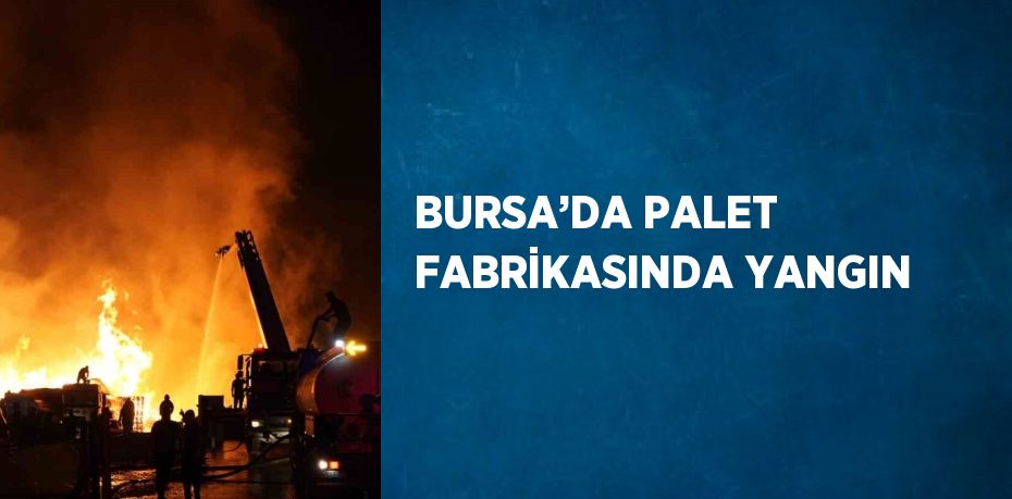 BURSA’DA PALET FABRİKASINDA YANGIN